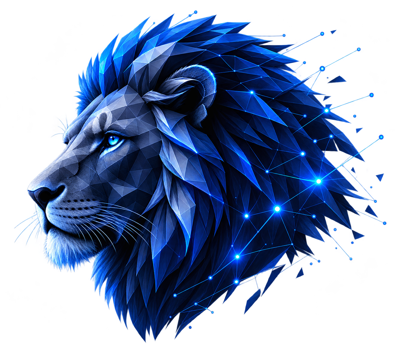 LeoVision Tech digital innovation